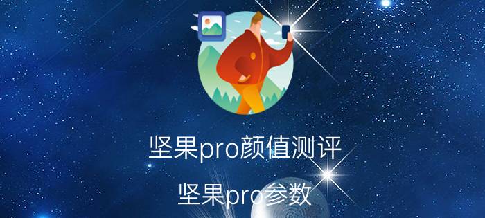 坚果pro颜值测评 坚果pro参数？